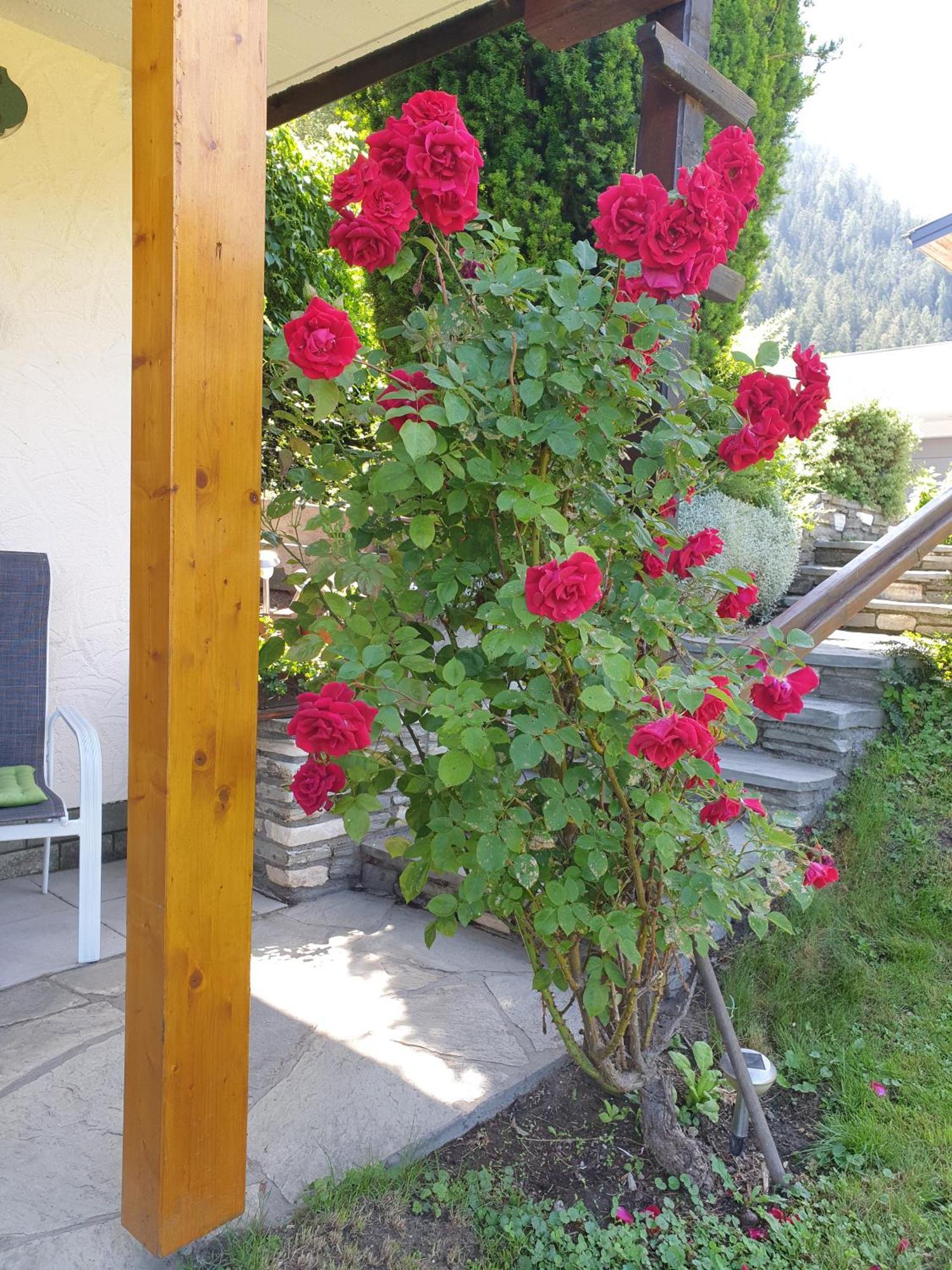 Ferienwohnungen Rupertihaus Flachau Esterno foto